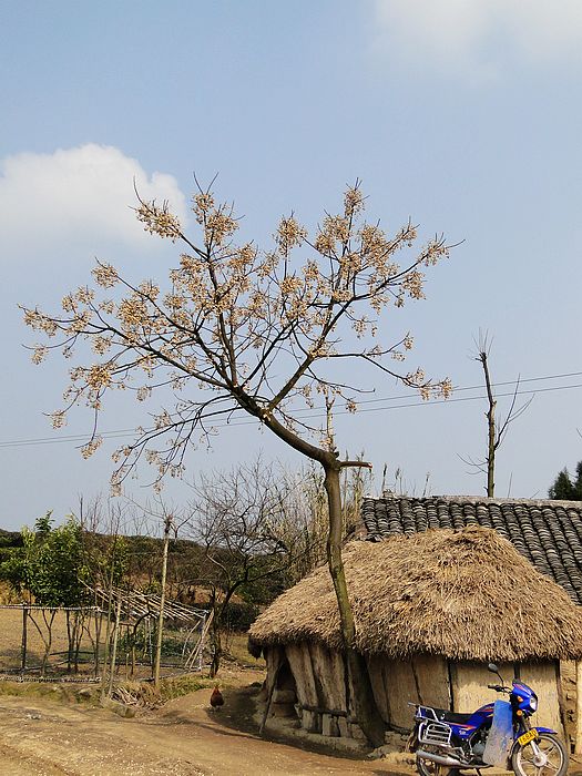 DSC05785.jpg