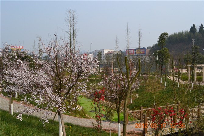 59.jpg