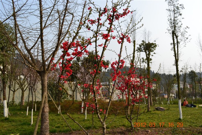 119.jpg