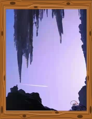 13.jpeg