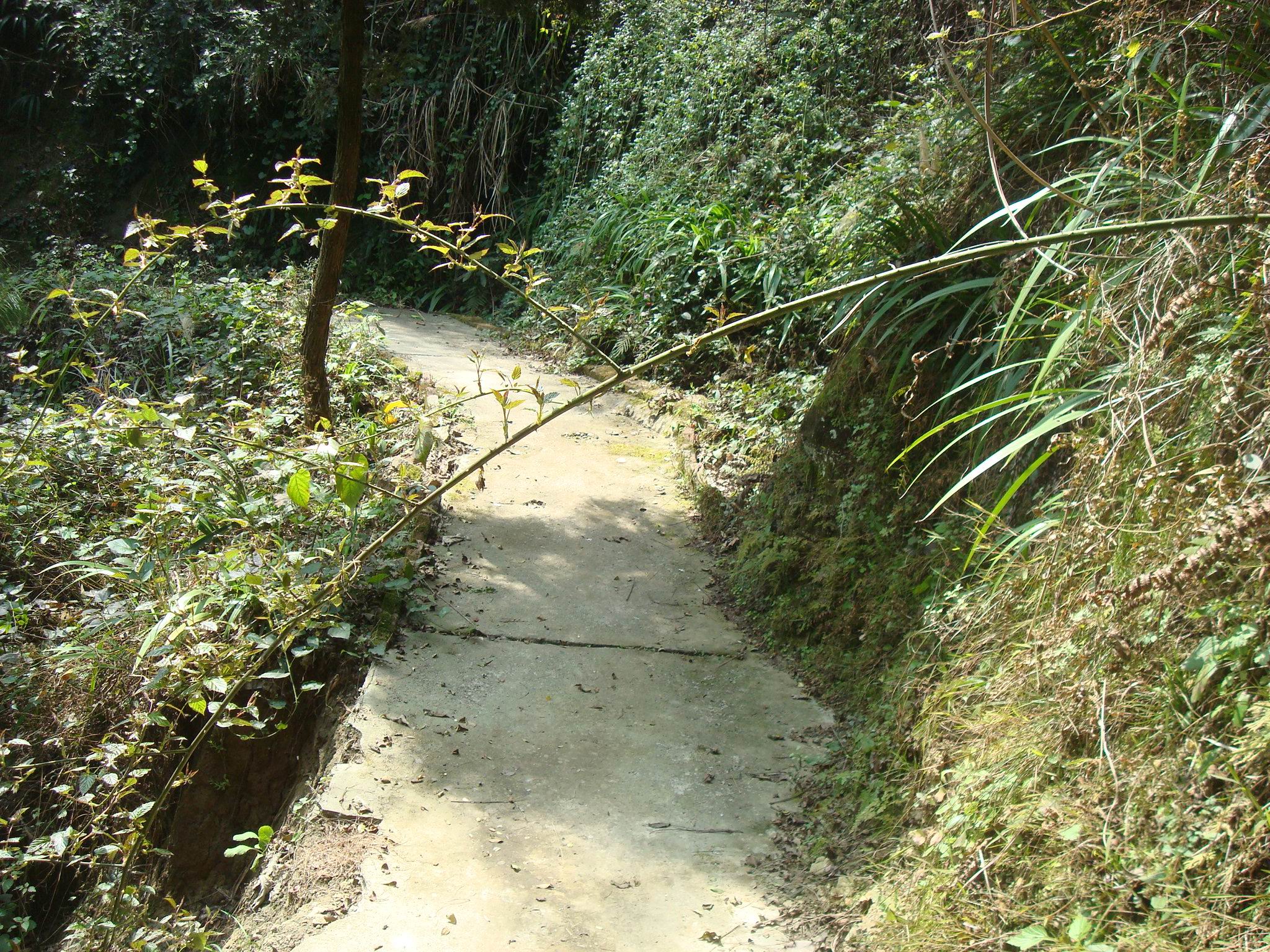 31··.jpg