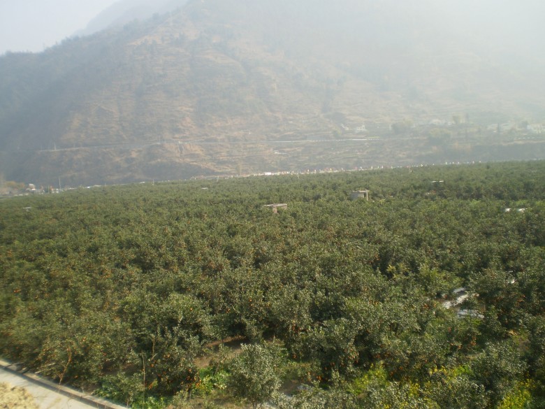 P3070775_conew1.jpg