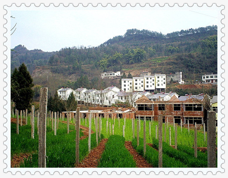 PICT0024_.jpg