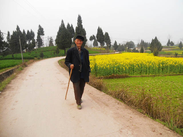 DSCN2284.jpg