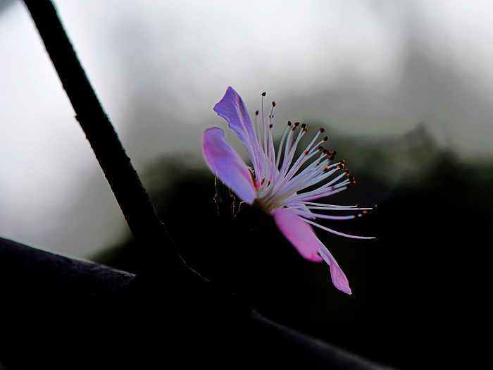 nEO_IMG_DSC_1956.jpg
