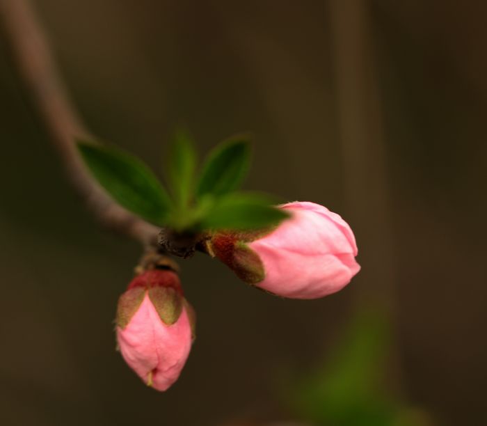 IMG_7886.jpg