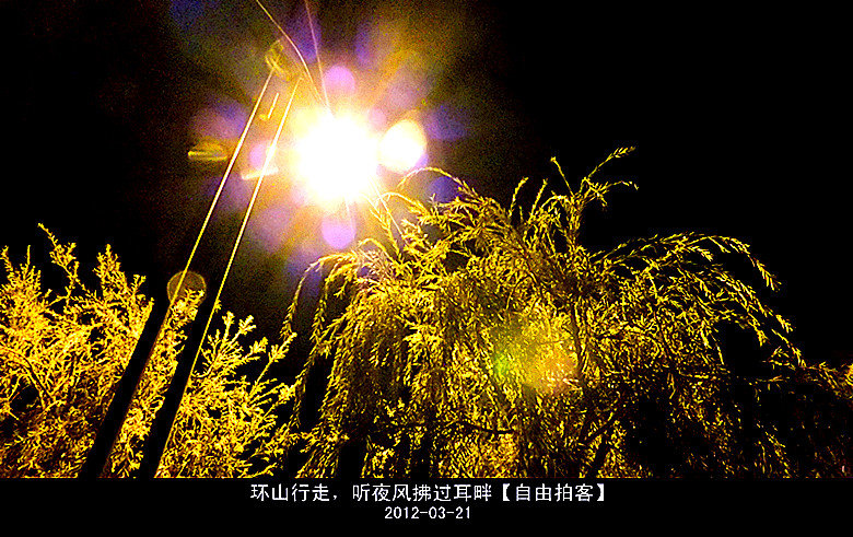 DSCF3888_.jpg