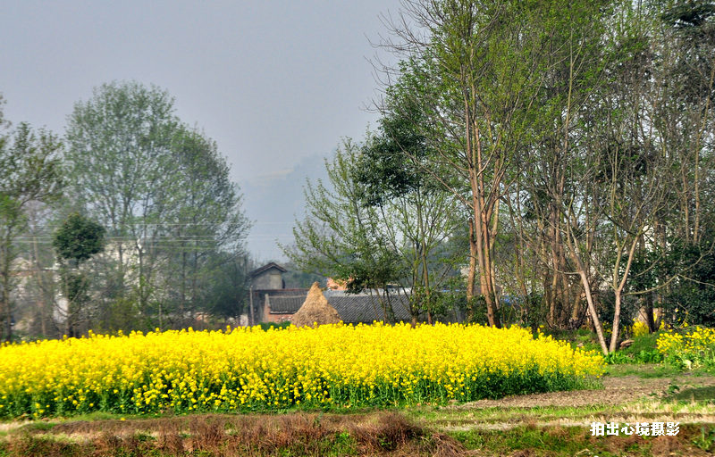 DSC_0030.jpg