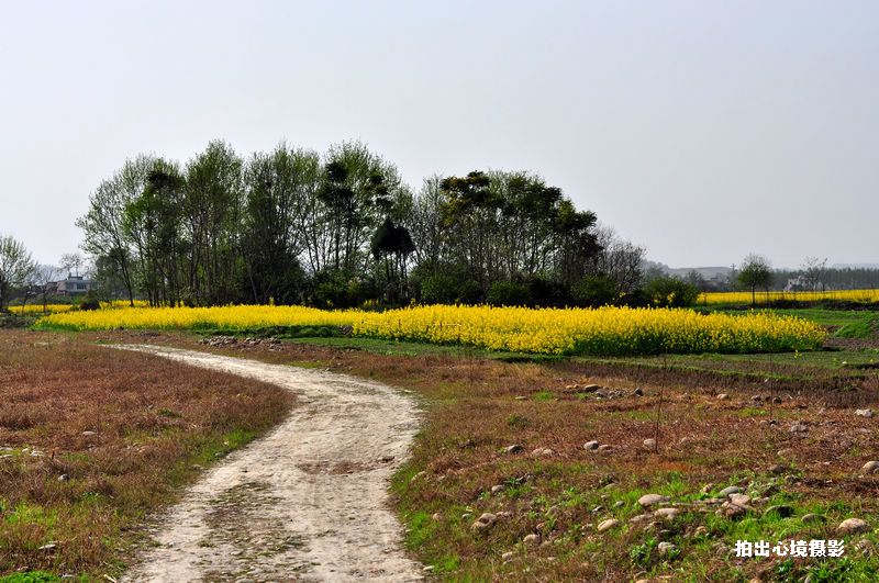 DSC_0072.jpg