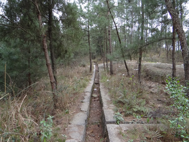 DSC00074_conew1.jpg