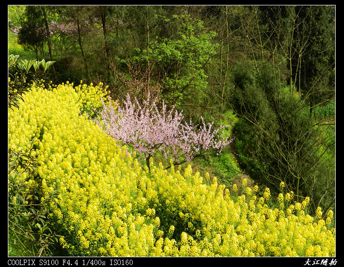 DSCN7821.jpg