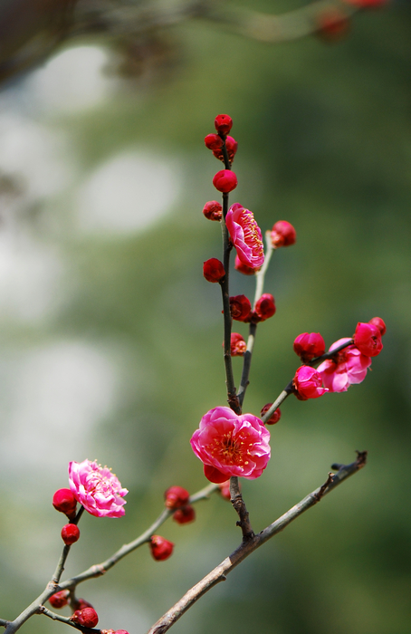 nEO_IMG_DSC_8419.jpg