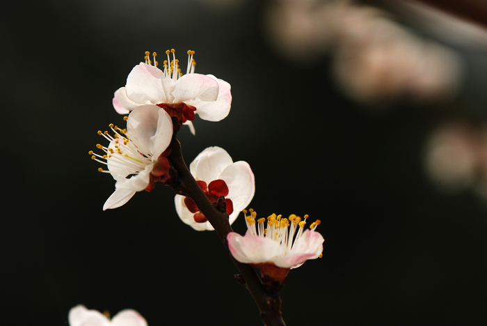 nEO_IMG_DSC_9419.jpg