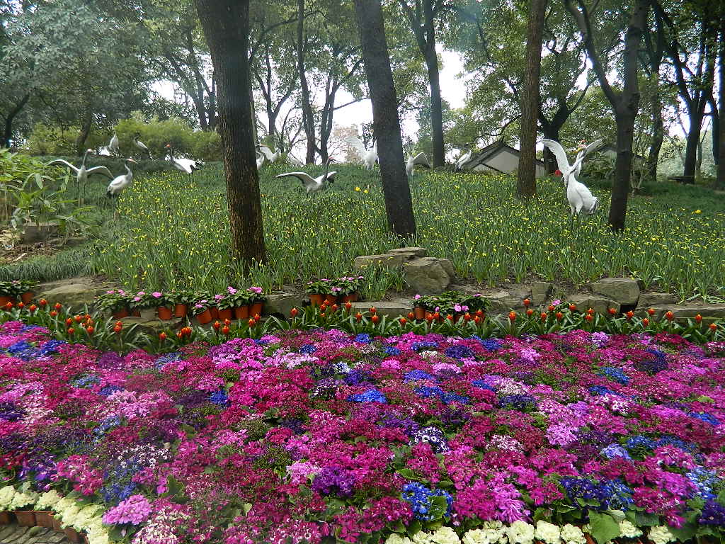 Ƭ 097.jpg