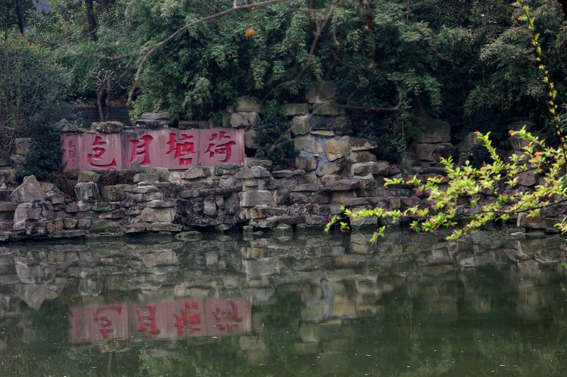 IMGP9727_.JPG
