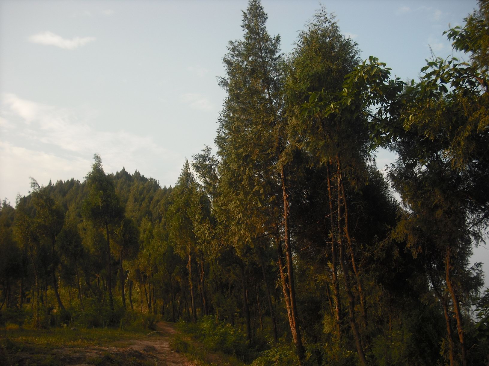 Ƭ 079.jpg