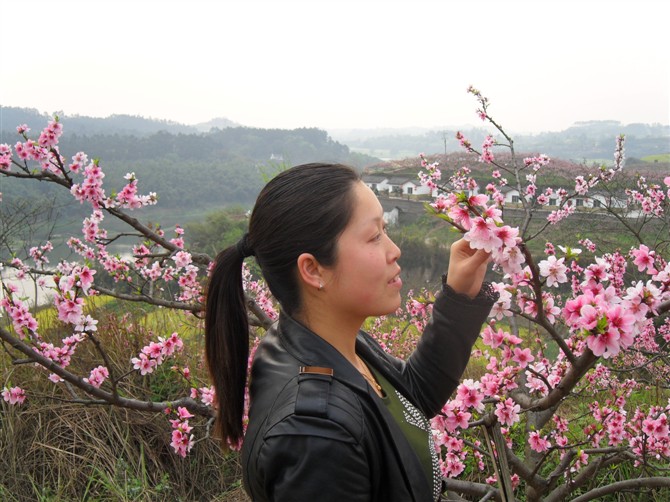 内江东兴桃花岛千亩桃林美女靓影花海仙境令人醉
