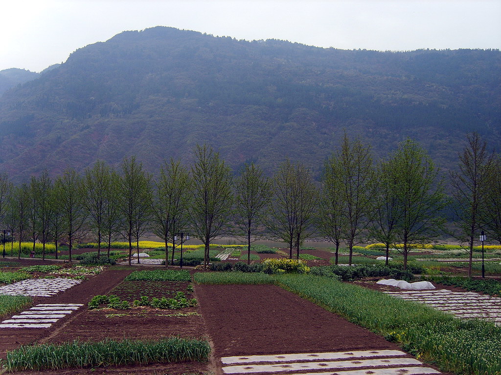 S8002781_С.JPG