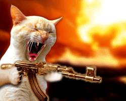 猫打冲锋枪gif