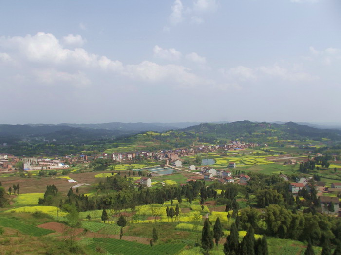 DSCF2471.jpg