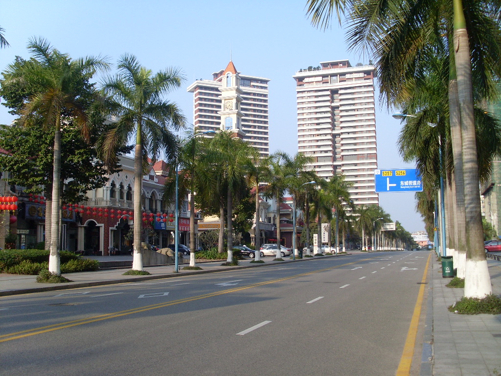 SL377679.JPG
