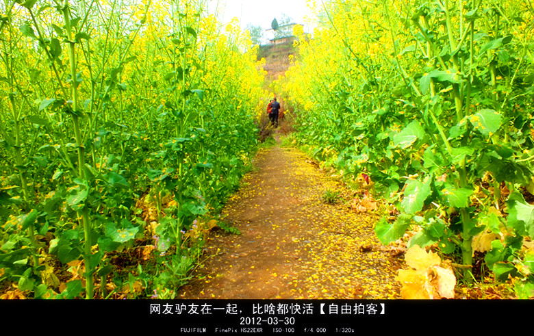 DSCF4459_.jpg