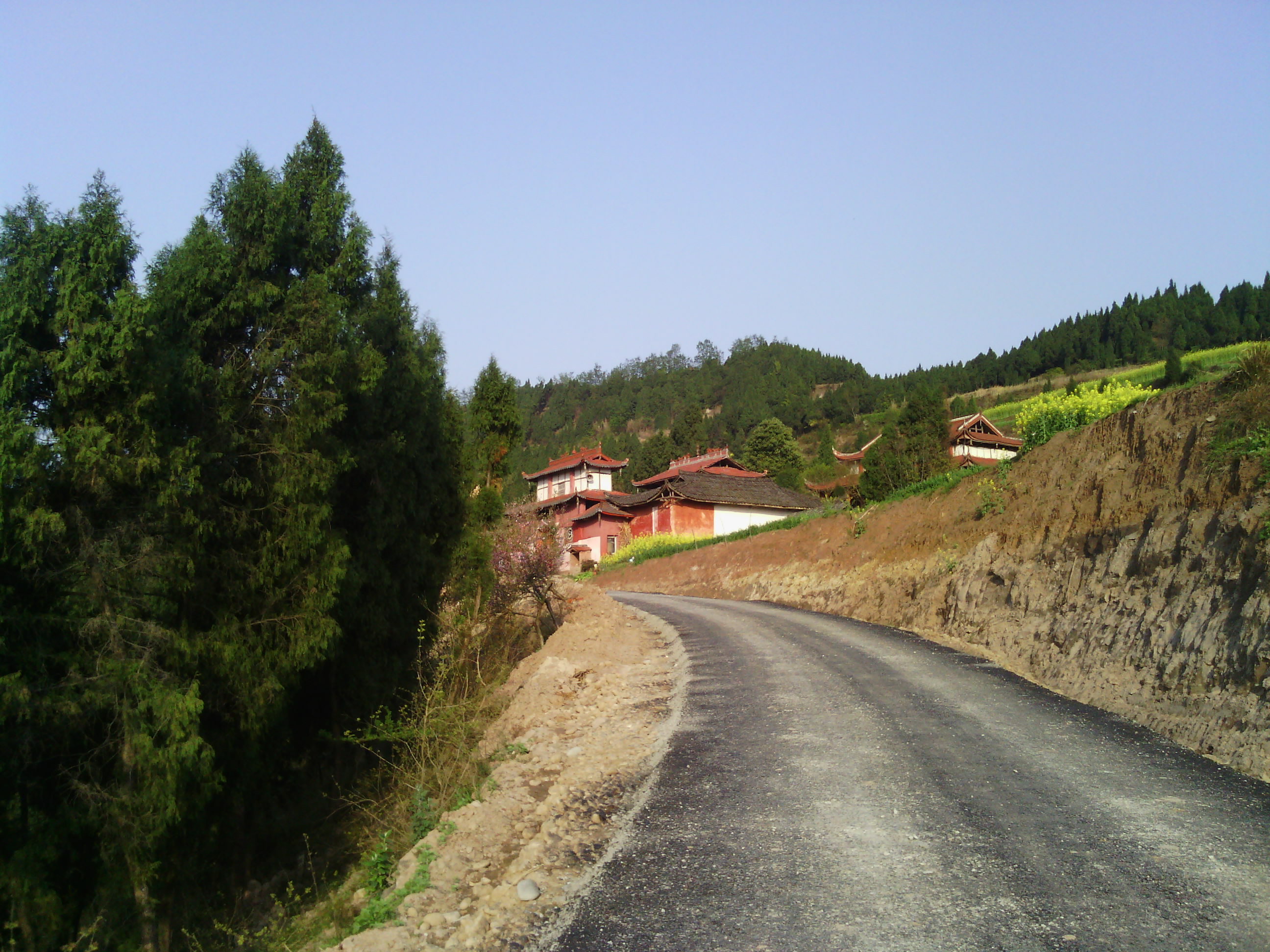 Camera_20120401_173646.jpg