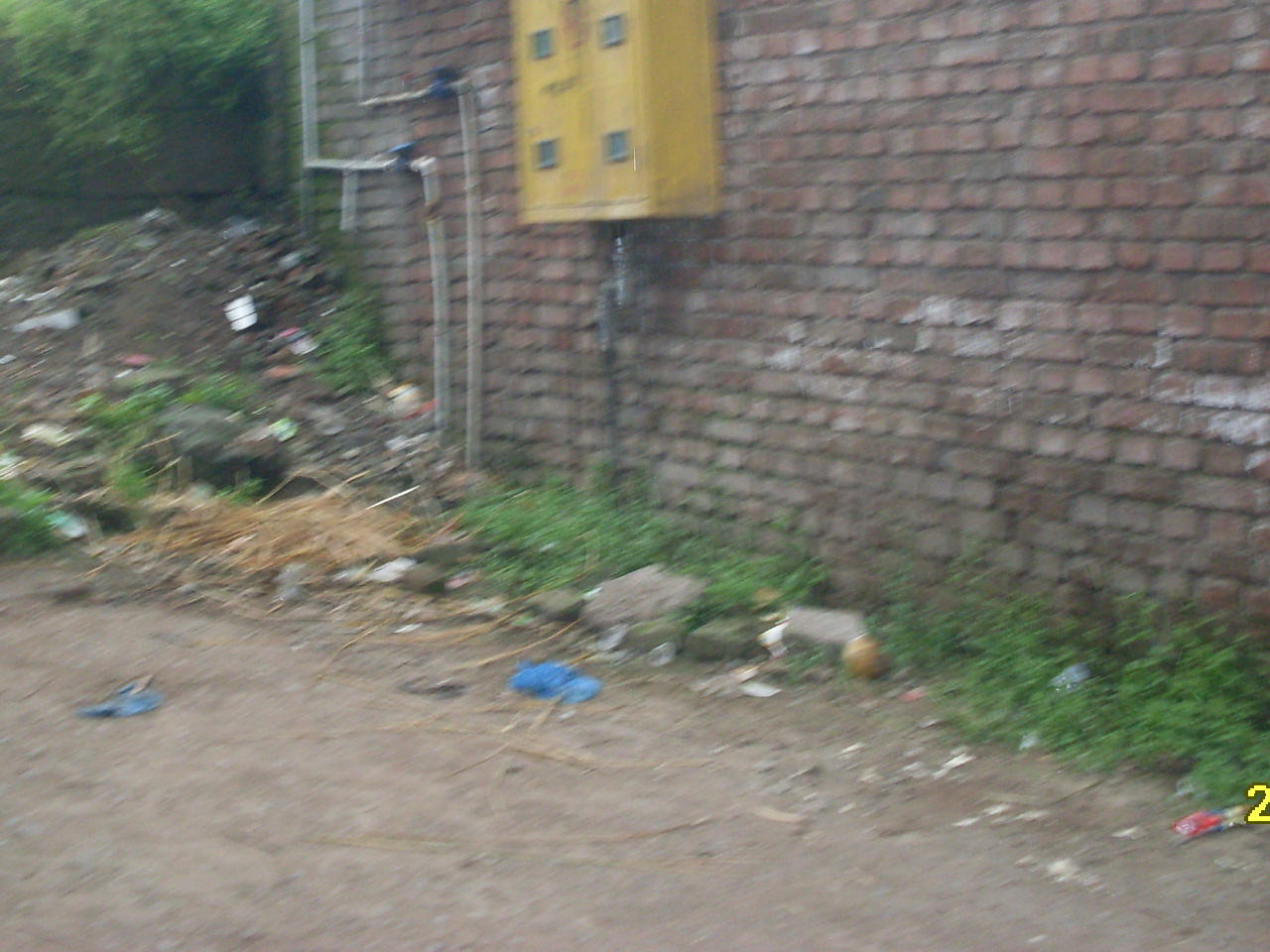 SDC10726.JPG