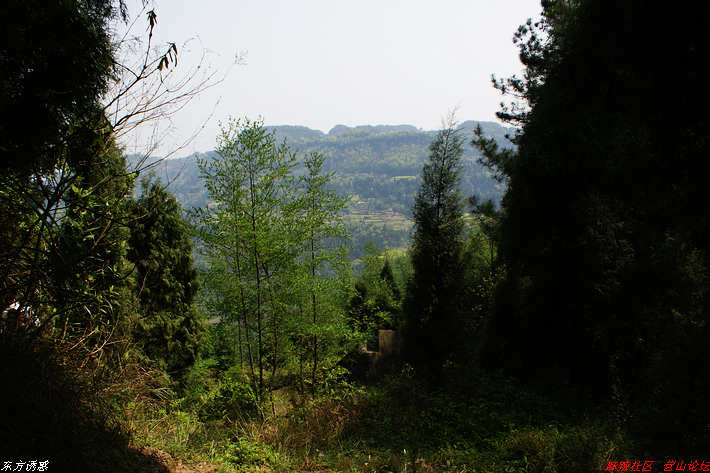 DSC00350.jpg