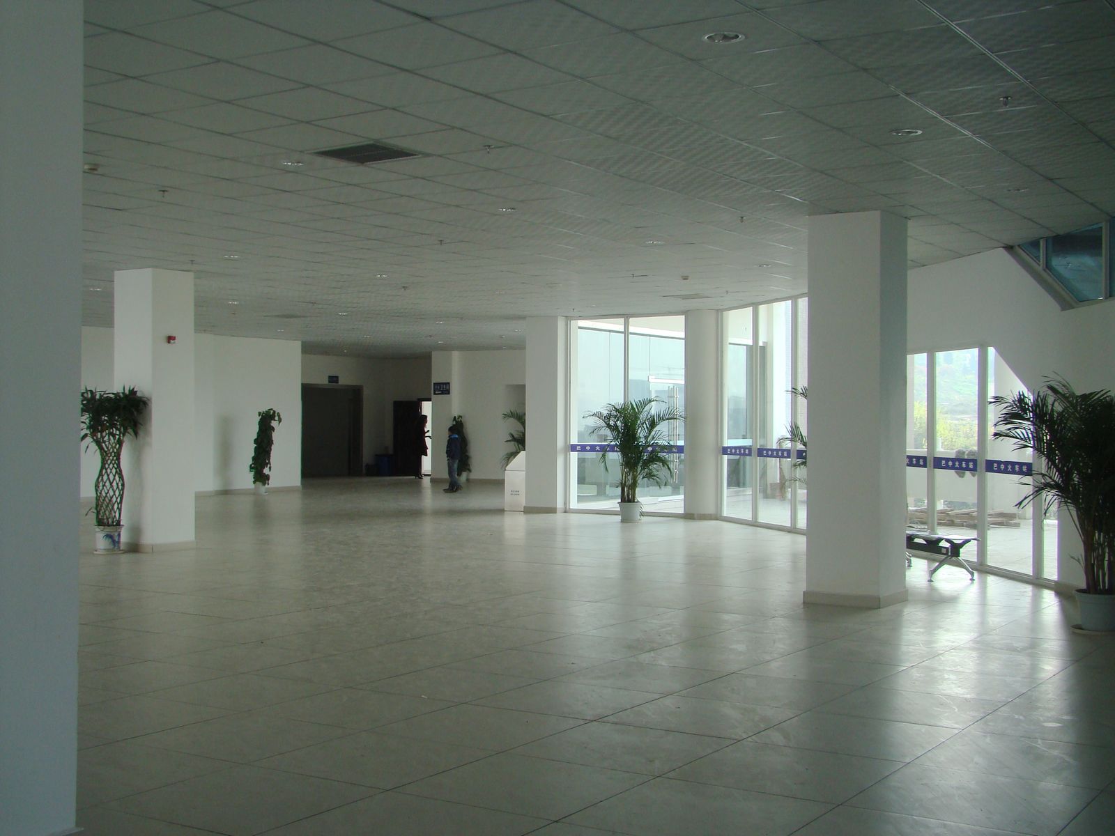 DSC04207.JPG