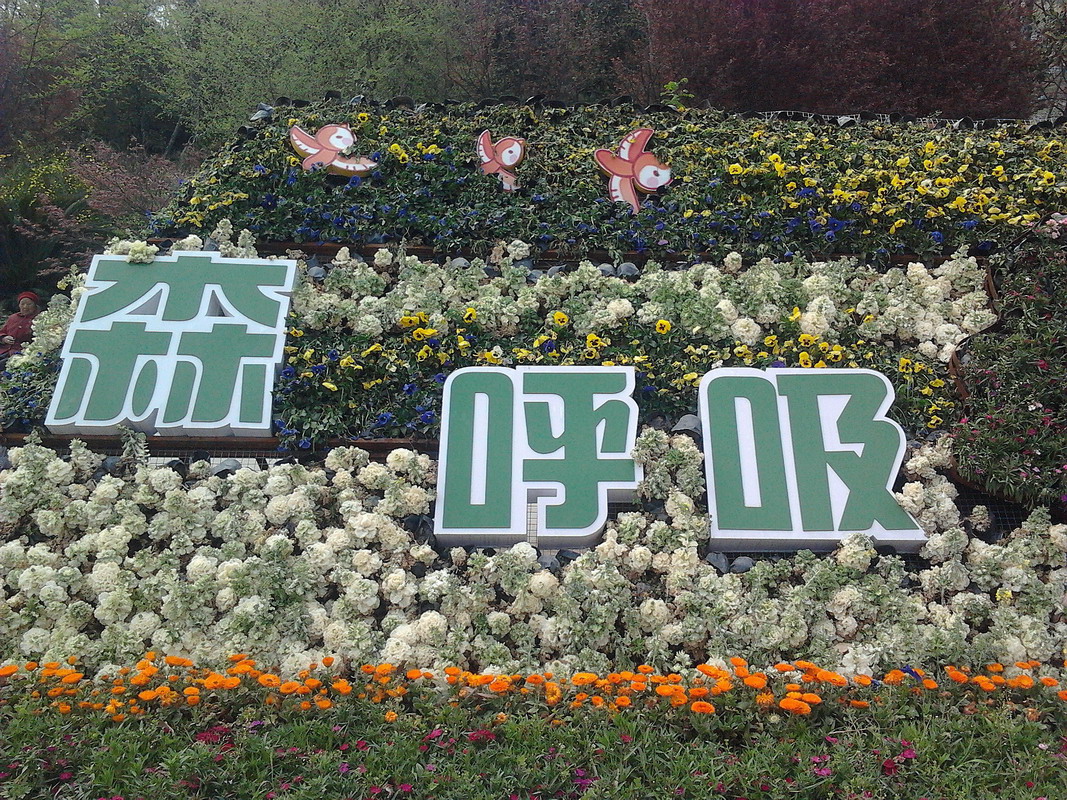 2012-04-04 09.02.01.jpg