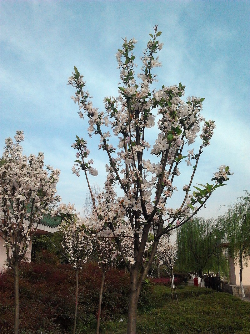 2012-04-04 09.17.27.jpg
