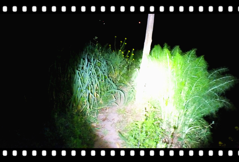 DSCF4794_.jpg