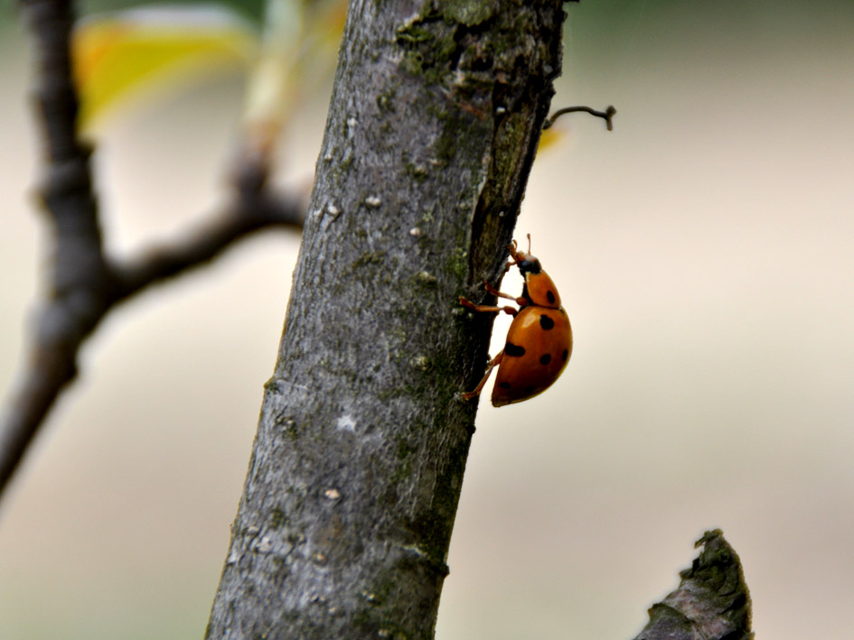 DSC_0205.jpg