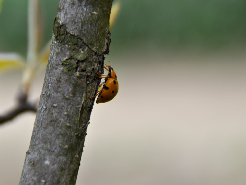 DSC_0206.jpg