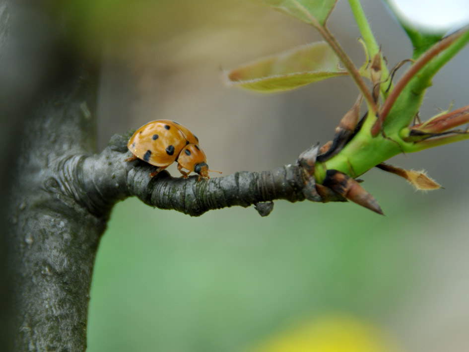 DSC_0207.jpg