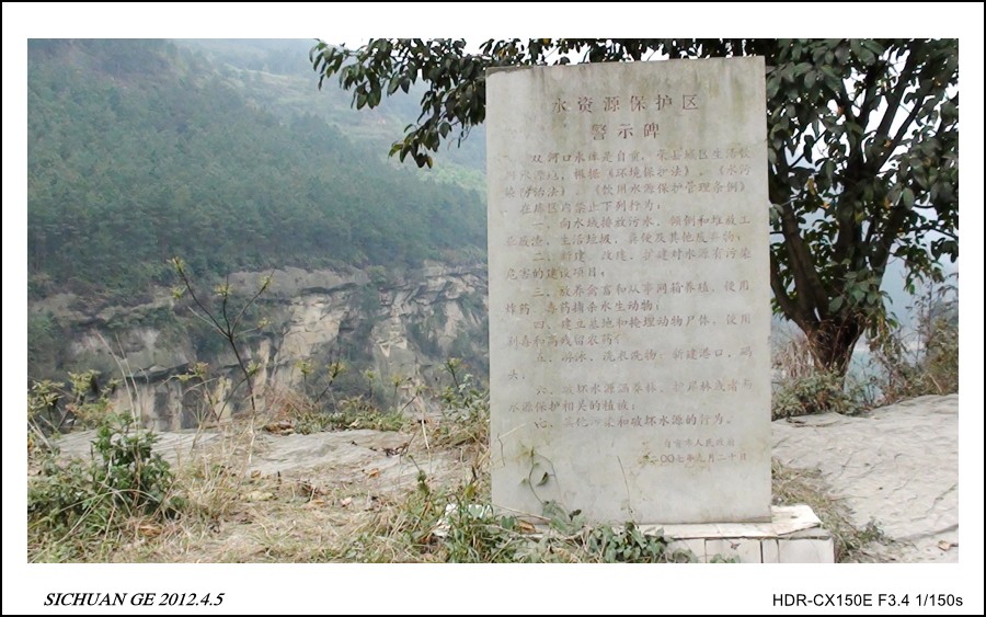 DSC03101_conew1.jpg