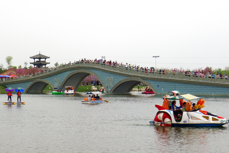 P1040222.jpg