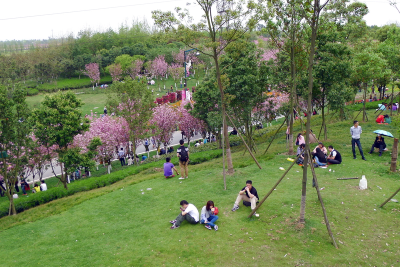 P1040228.jpg