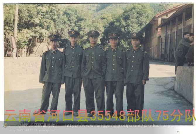 35548.gif