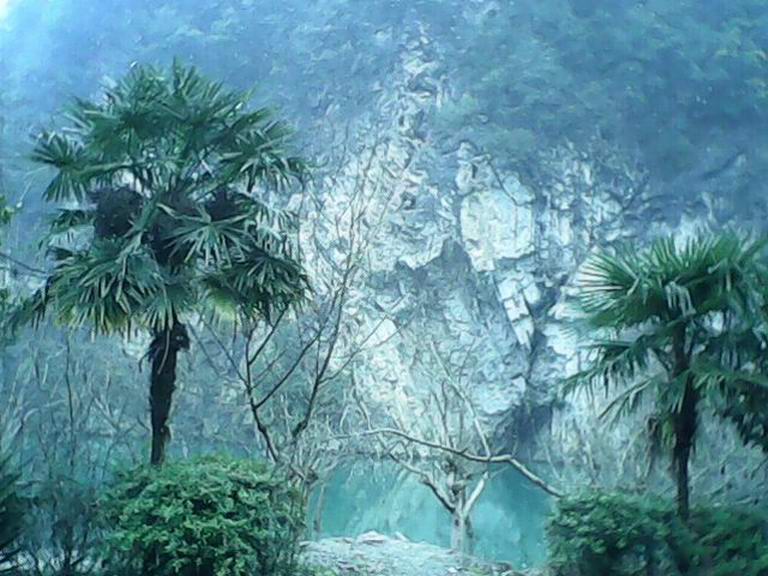 IMG0111A.jpg