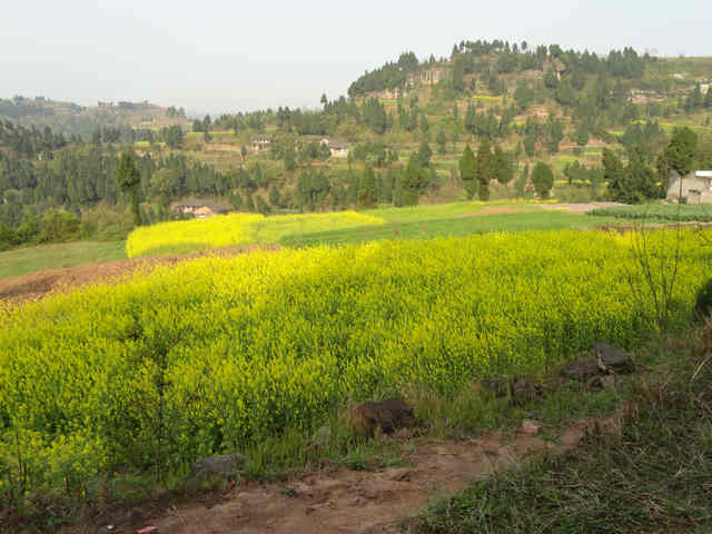 150411ggihm7j5jiwuwj8i.jpg