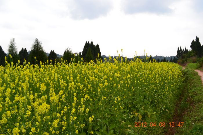 Ƭ 031.jpg