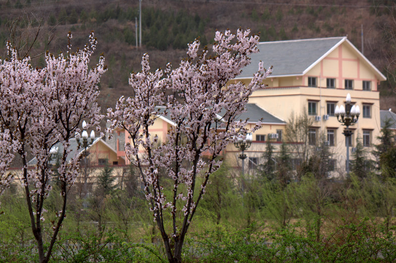 IMG_8292.jpg