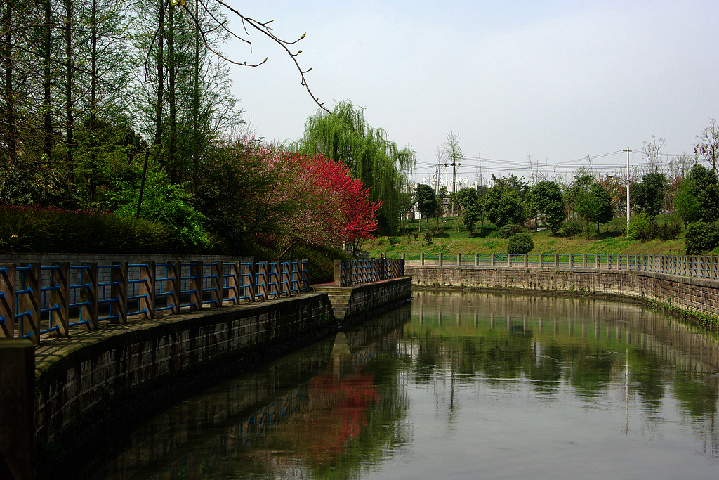 IMGP3910.jpg