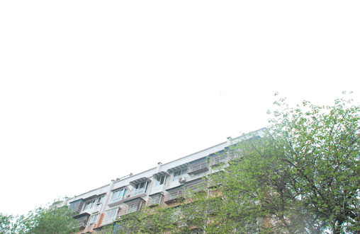 DSC_0175.JPG