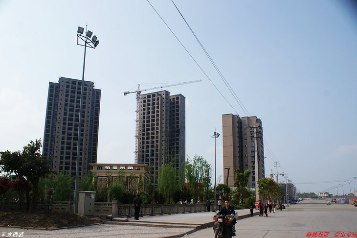 DSC01089.jpg