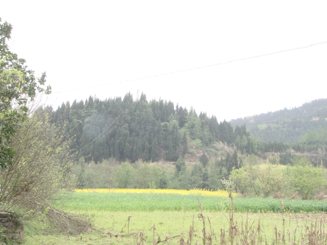 DSC09244.JPG