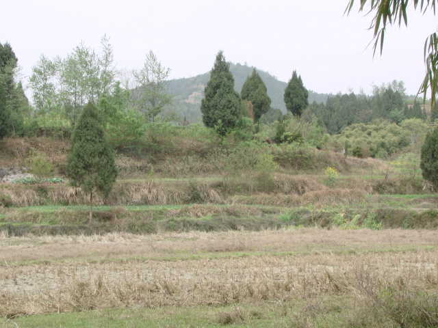DSC09251.JPG