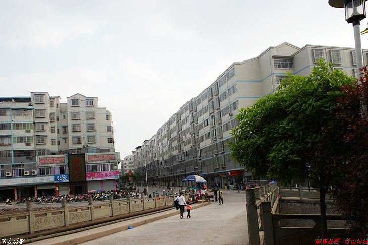 DSC01149.jpg